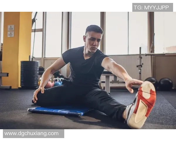 从零开始的攀岩之旅：团队协作与技巧全面指南