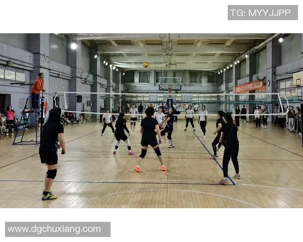 深圳排球队的速度变革引发热议展现新风貌与未来发展潜力