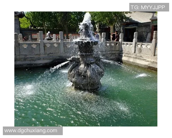 西安篮球队耐力争议引发热议球迷和专家各执己见探讨背后原因