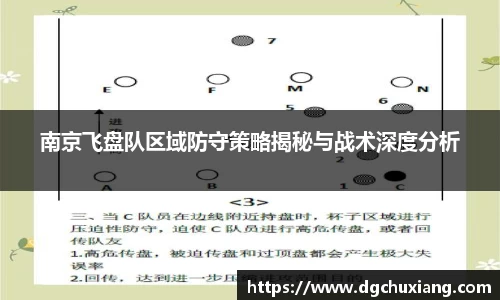 南京飞盘队区域防守策略揭秘与战术深度分析