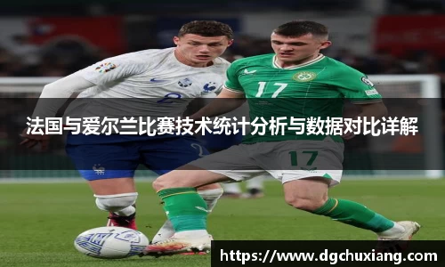 法国与爱尔兰比赛技术统计分析与数据对比详解