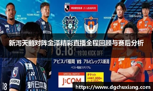 新泻天鹅对阵金泽精彩直播全程回顾与赛后分析