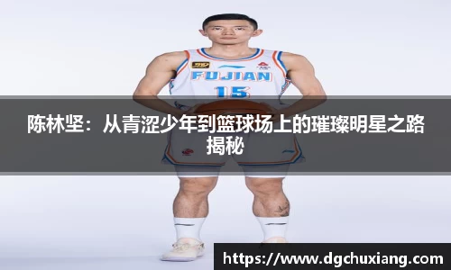 陈林坚：从青涩少年到篮球场上的璀璨明星之路揭秘