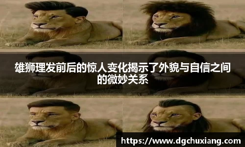 雄狮理发前后的惊人变化揭示了外貌与自信之间的微妙关系